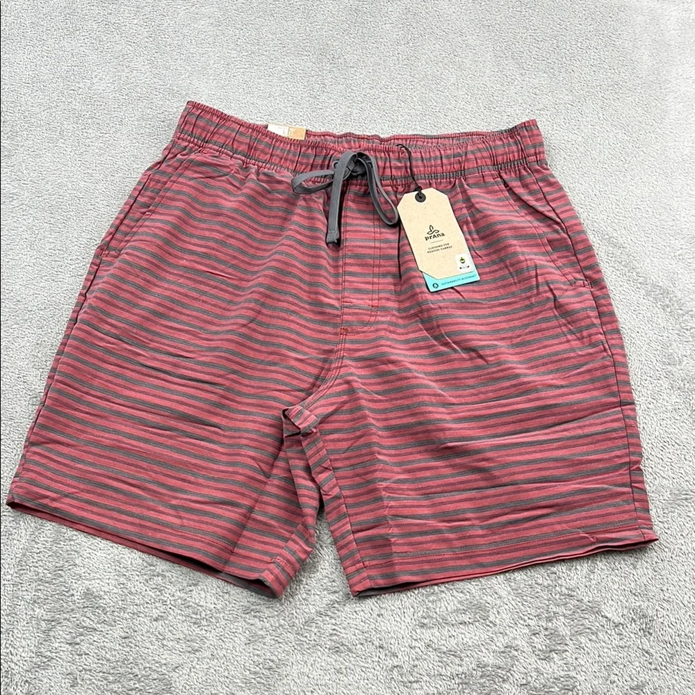 NEW Prana L Metric E-Waist Short Rust Stripe Men's Striped Red Shorts